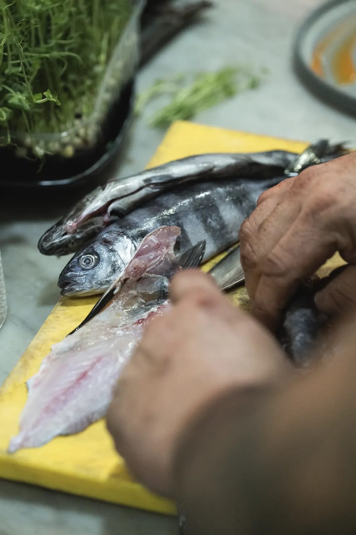 Seafood